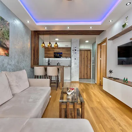 Anja Apartman *